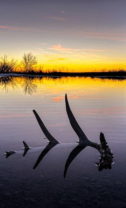 Doesn’t get a whole lot more peaceful than a day in the woods ending like this.