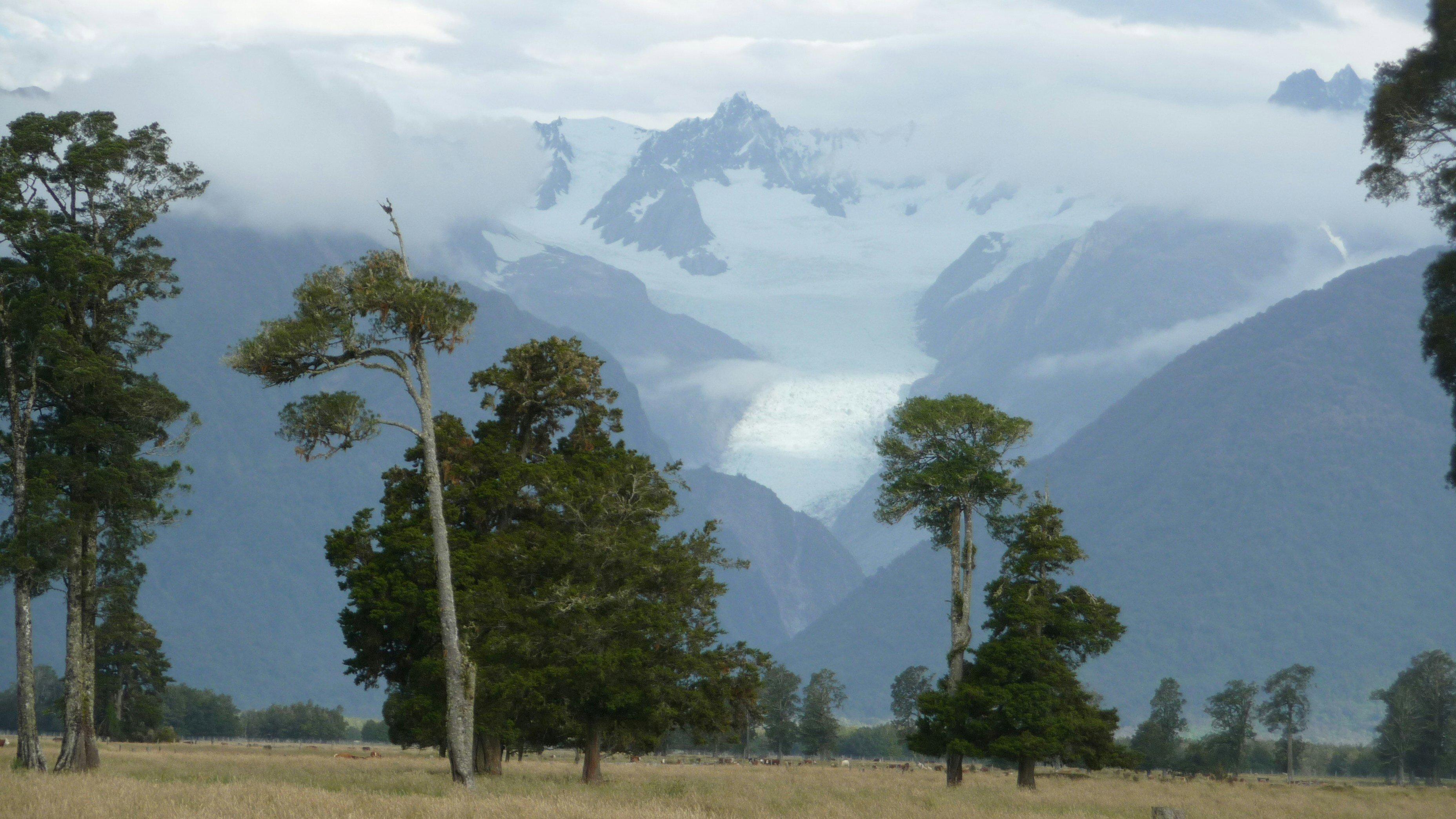 Fiordland hunting permits and conservation rules explained, natural features, seasons in the region in terms of hunting