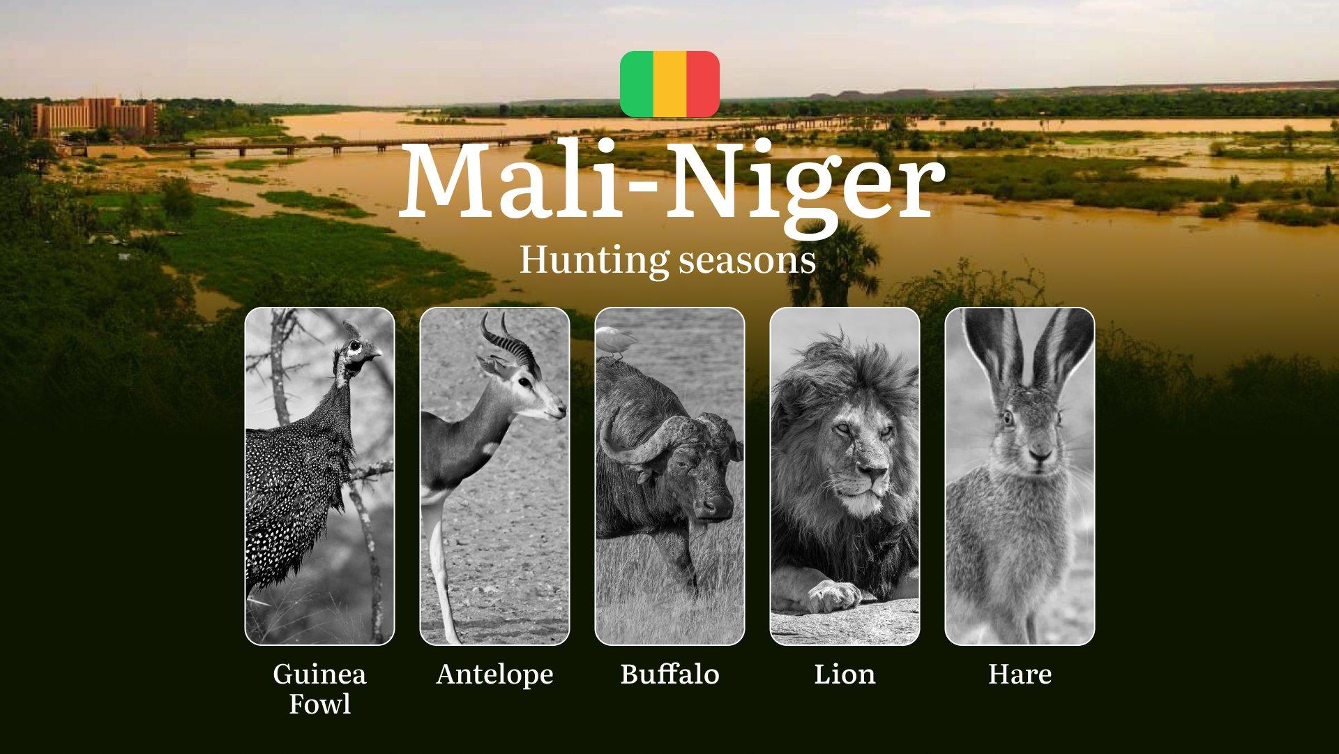 Hunting Dates in Mali-Niger: Hunting Seasons, Temporary Restrictions, Permit Regulations, Penalties and Legal Ramifications for Violations, Tactical Preparation, Gear Selection