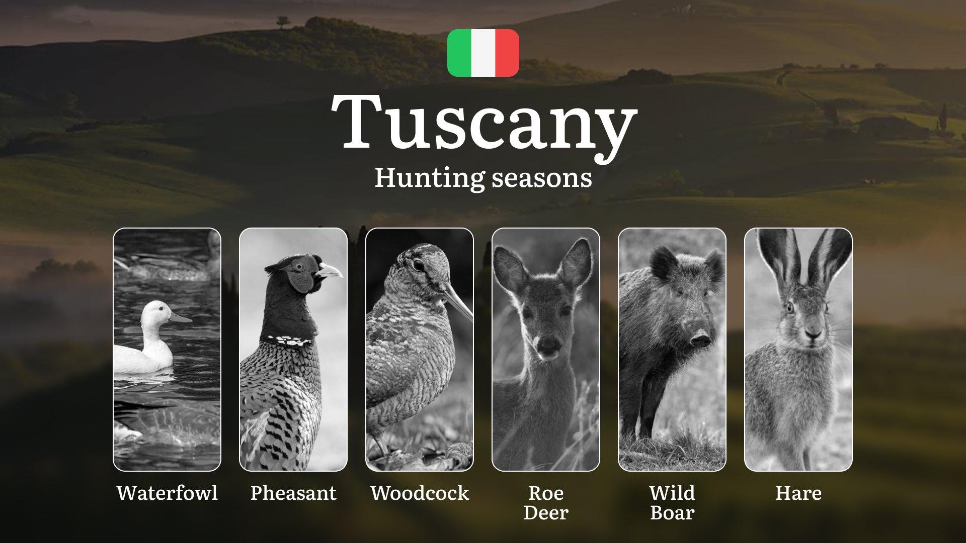 Tuscany's Legendary Seasons: Moon Phase Hunting Dates in the Maremma and Chianti Vineyards