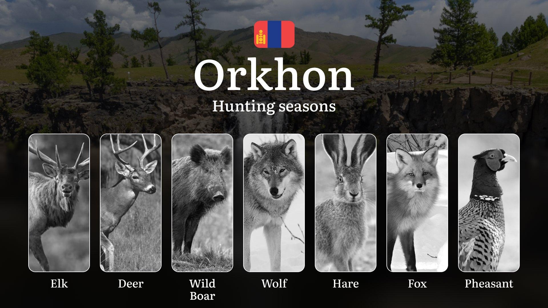 Hunting Dates in Orkhon Province: Seasonality of Hunting, Timing and Regulations, Hunting Permits, Restrictions and Prohibitions