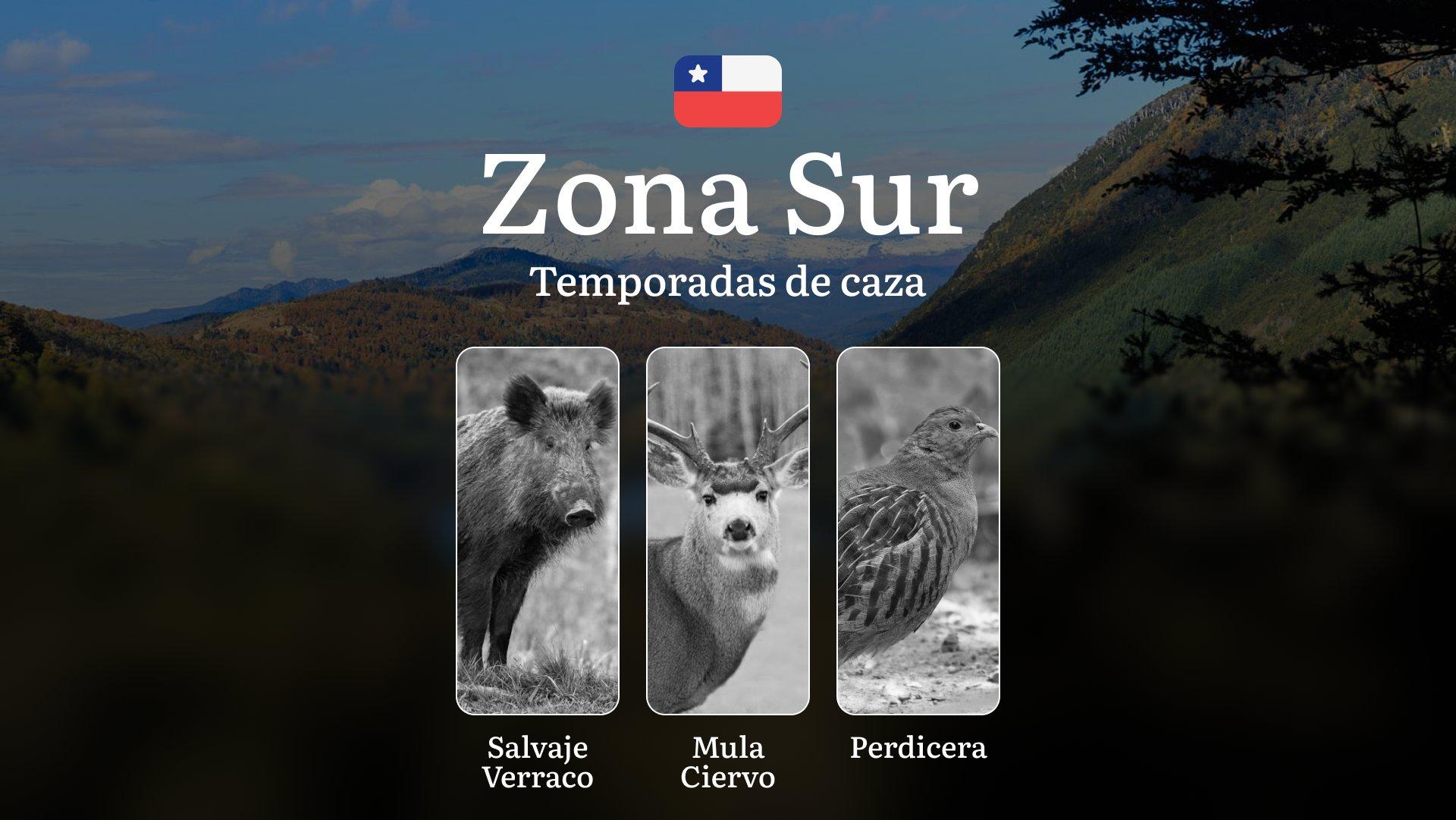 Fechas de caza en Chile, La Zona Sur: épocas, licencias y consejos para cazadores, reglas y fechas de caza, restricciones y prohibiciones