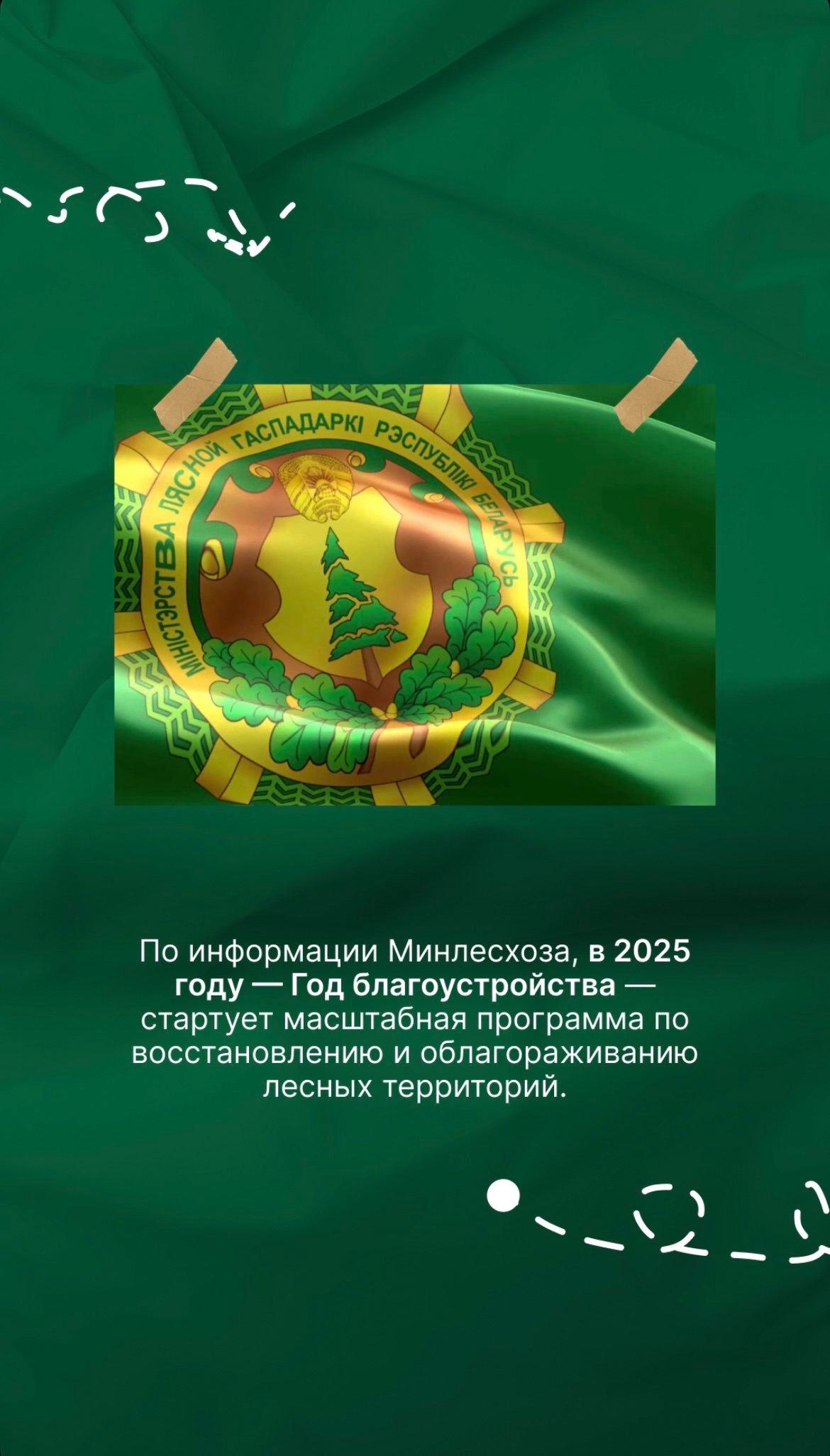 По информации Минлесхоза, в 2025 году — Год благоустройства - стартует масштабная программа по восстановлению и облагораживанию лесных территорий.
