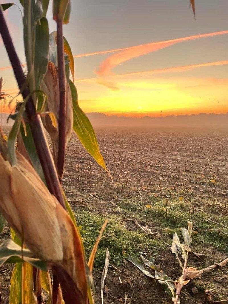 Bonjour à toutes et tous,