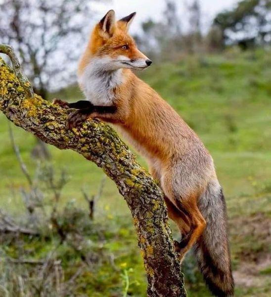 Perfect shoot 🥰