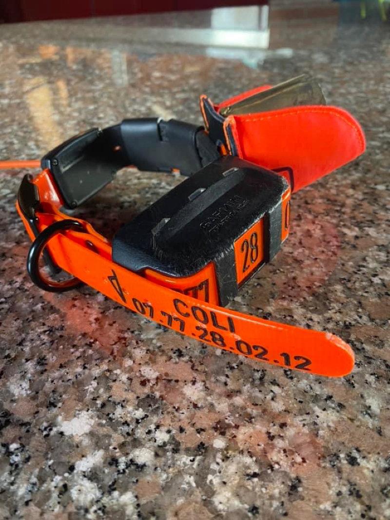 Colliers GPS (GARMIN / BITRABI)