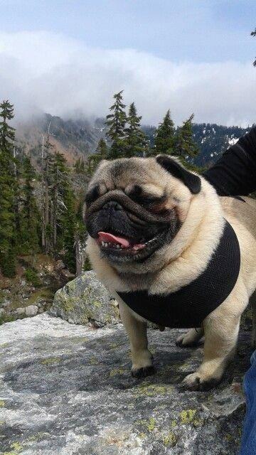 Hiking day with Nel's new friend