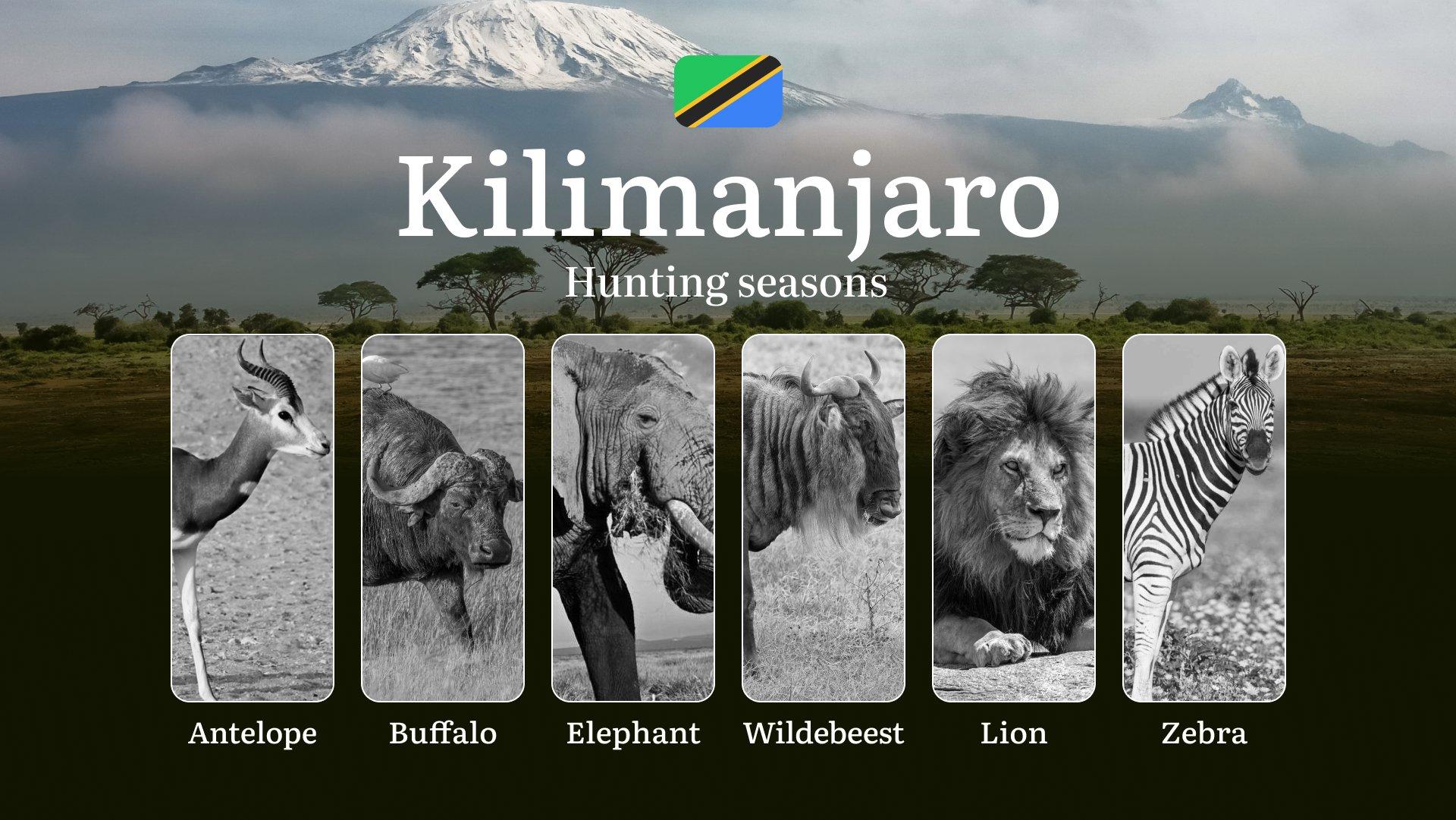 Kilimanjaro: Official Hunting Dates, Regulatory Limits and Seasonal Prohibitions, Licensing Rules, Fines and Legal Penalties for Non-Compliance, Strategic Preparation, Equipment