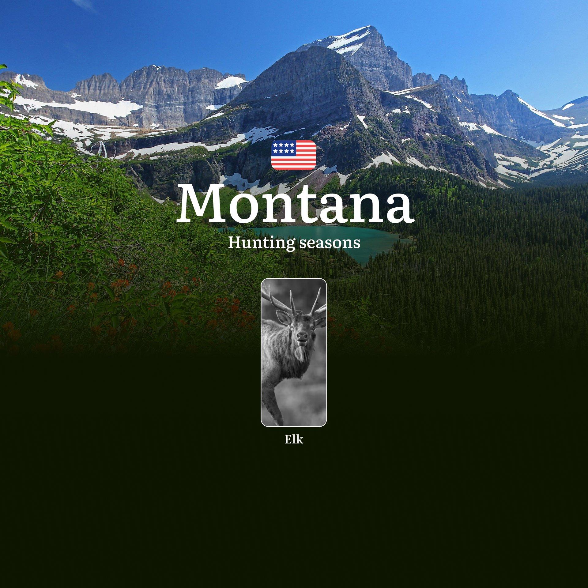 Montana: Hunting Seasons, Restrictions and Prohibitions, Hunting License, Practical Tips for Hunters, Consequences for Violating Hunting