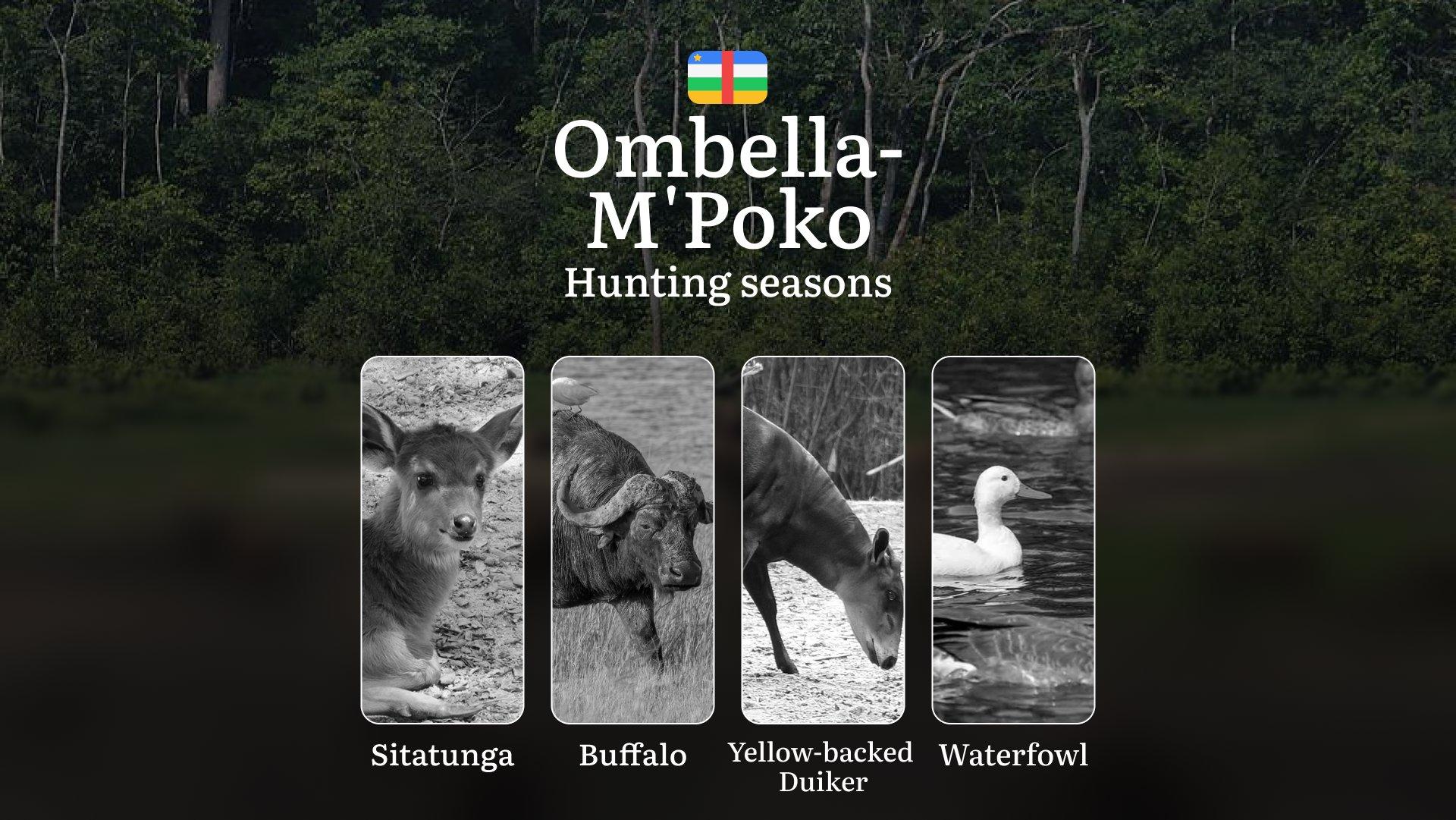 Hunting Laws and Seasons in Ombella-M'Poko: General Hunting Rules, Permits, Restrictions & Time-Honored Events 