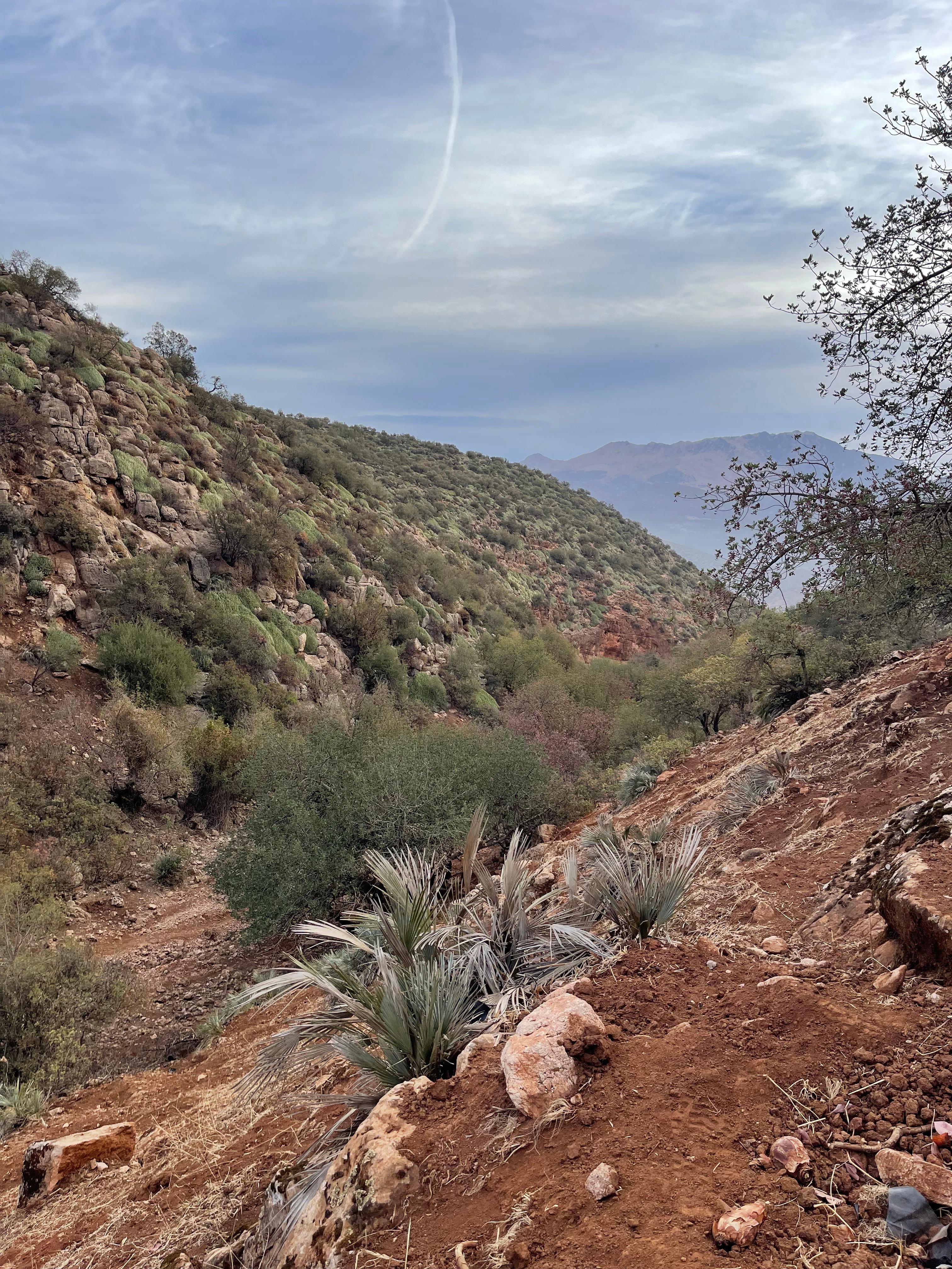 Hunting in the Atlas Mountains: Where to Stay for the Ultimate Experience
