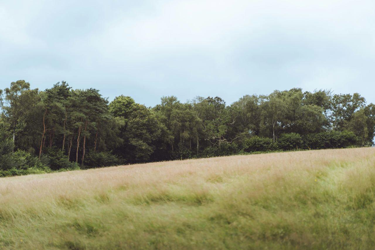Hunting in County Fermanagh, Northern Ireland: geography, types of hunting and hunting animals, hunting seasons and legislation in the region
