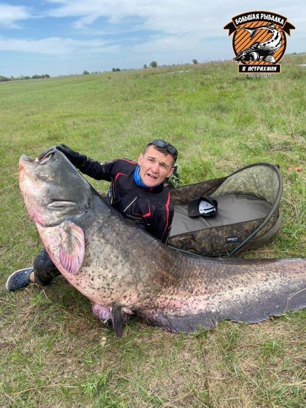 Просто фильм ужасов.