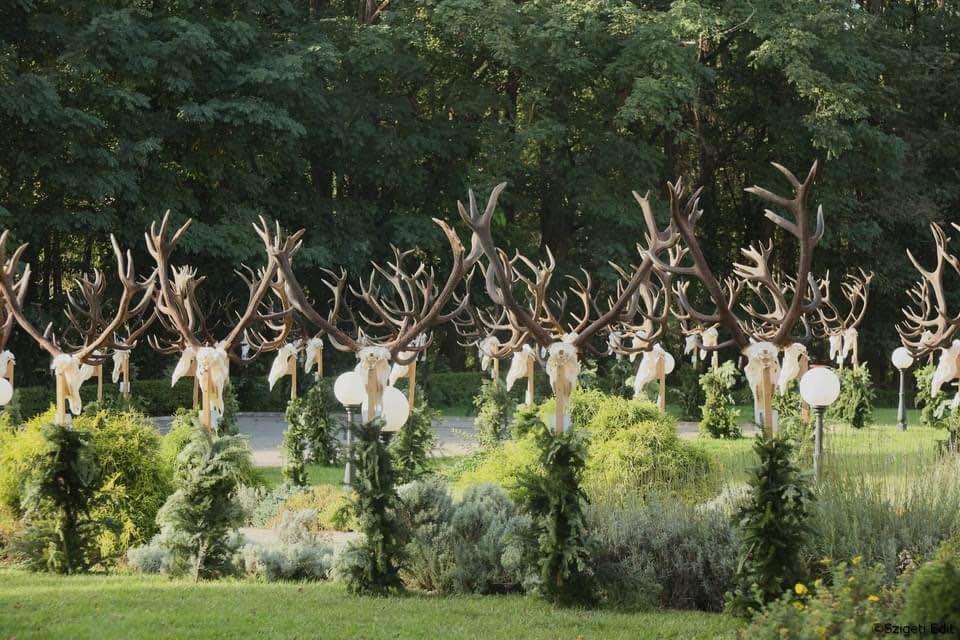Trophy presentation at the governmental forest company in Somogy county , Hungary .