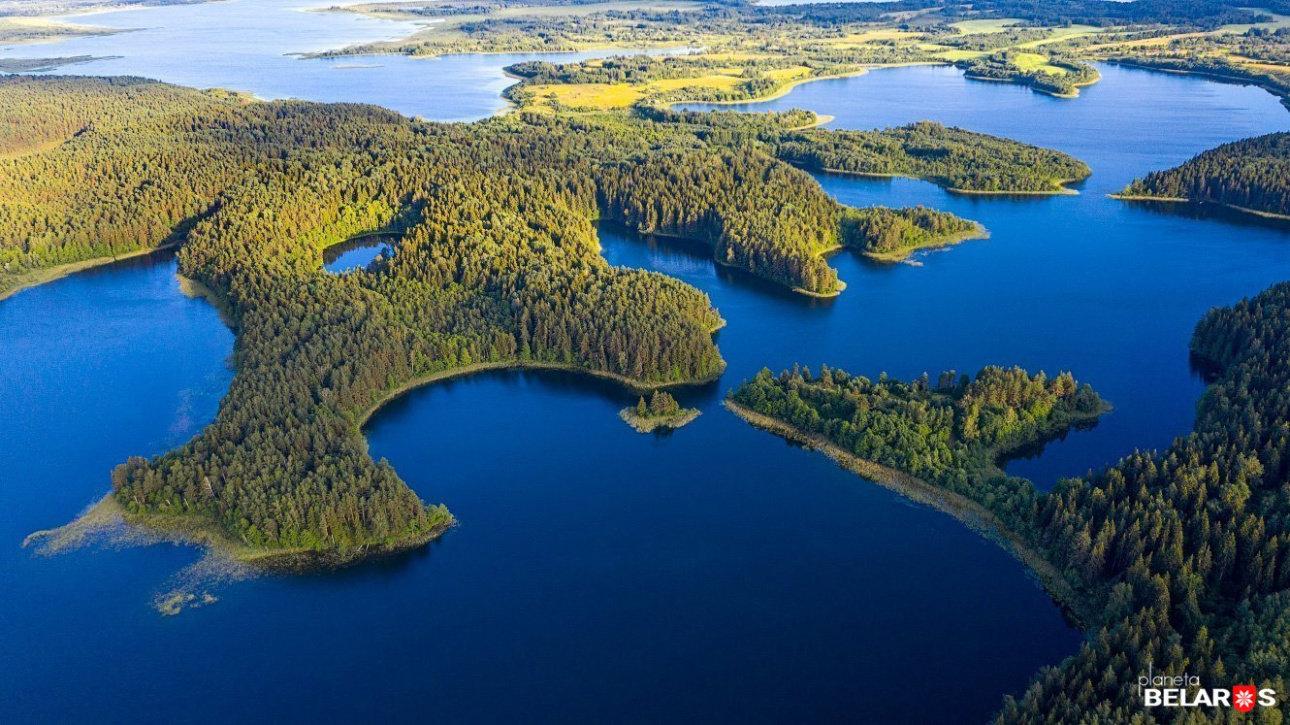 ТОП-10 самых фотогеничных заказников Беларуси