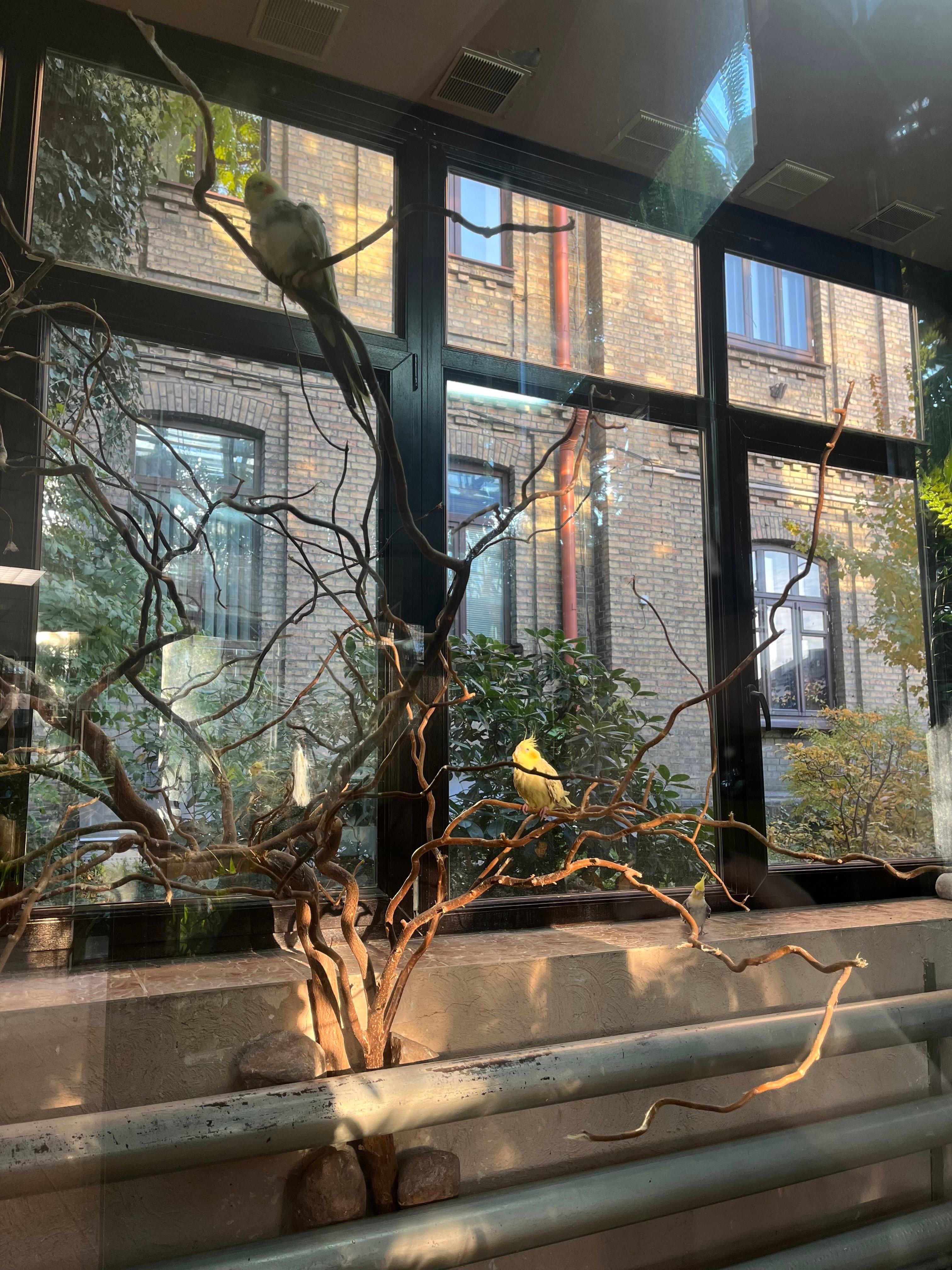 In Brest, near the old building of the Pushkin State University, there is an educational and methodological complex called "Winter Garden".