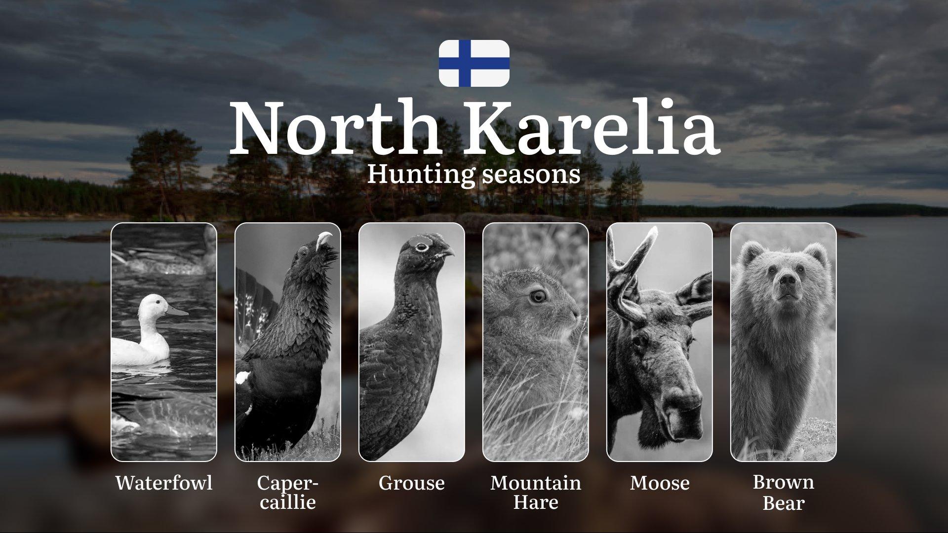 Hunting Seasons in NORTH KARELIA: Season Dates, Protected Species, Permit Requirements, Crucial Regulations and Penalties for Violating Laws
