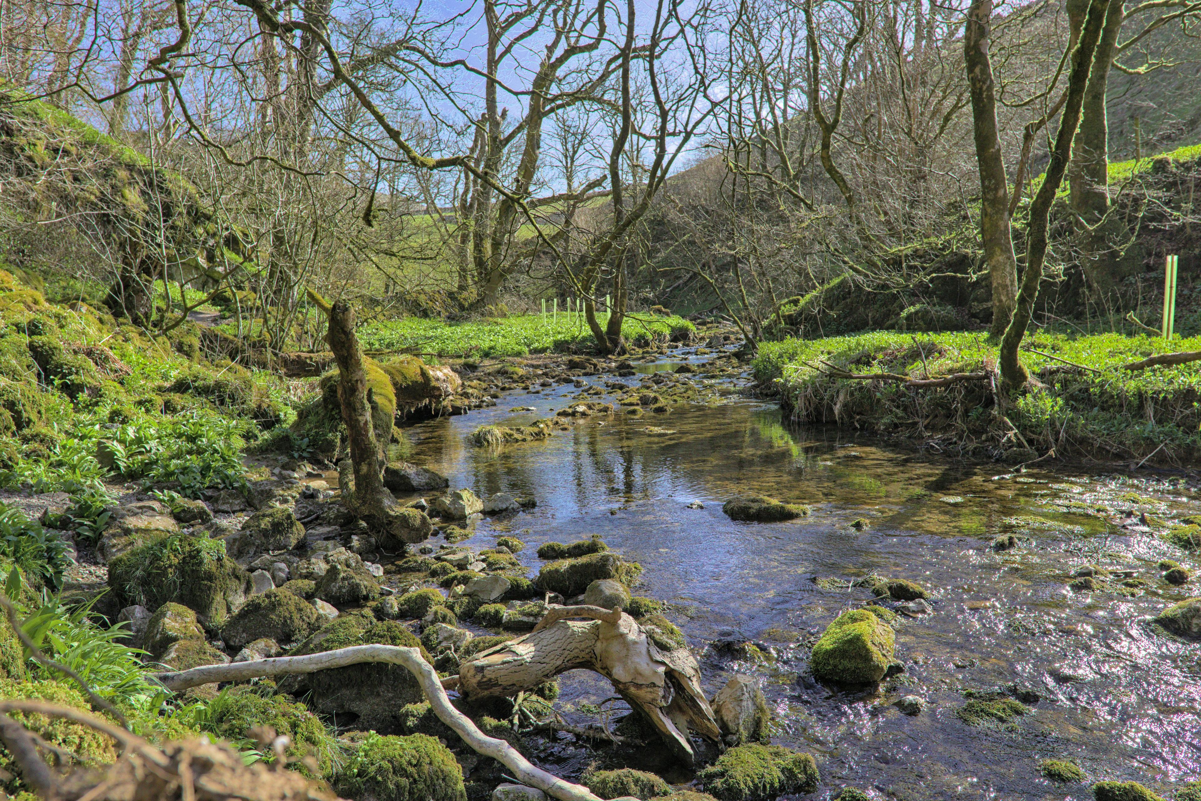 Hunting in Islands, Scotland: exploring nature of the region, features of hunting, associations and clubs of hunters, traditions and interesting facts 