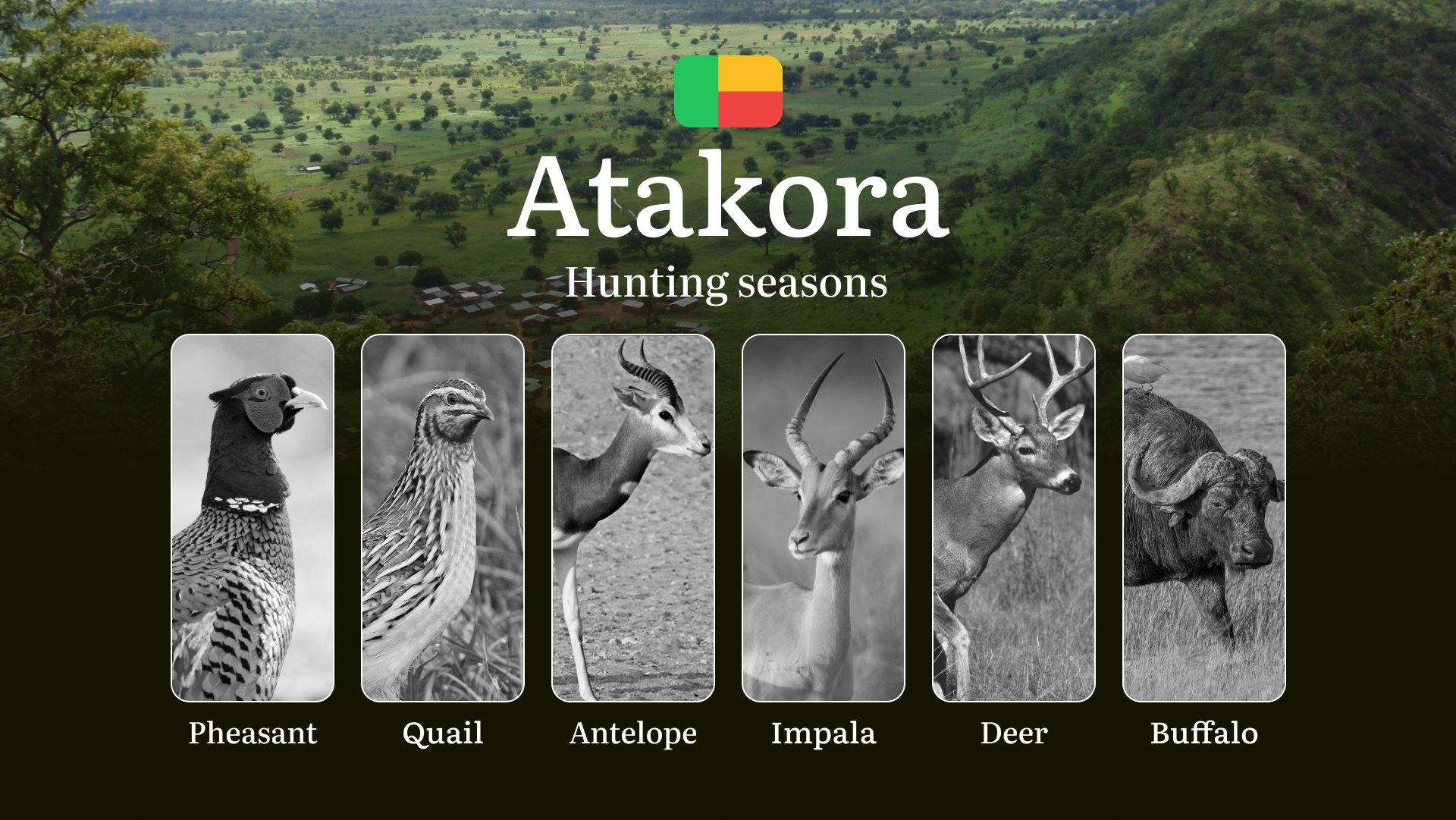 Hunting Dates in Benin’s ATAKORA Region: Hunting Seasons, Opening and Closing Dates, Licenses, Rules and Periods for Hunting