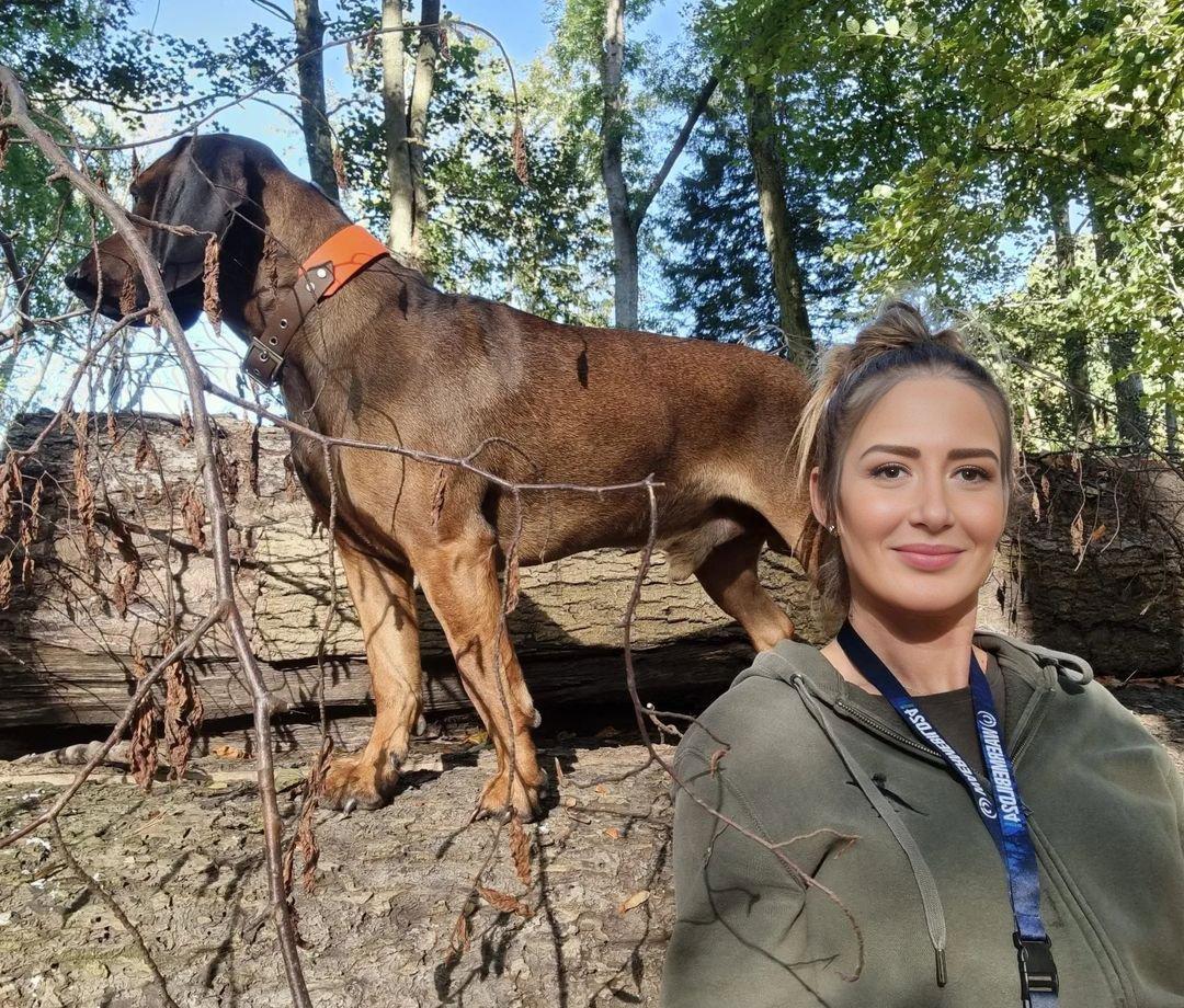 What do you want for every hunting season?