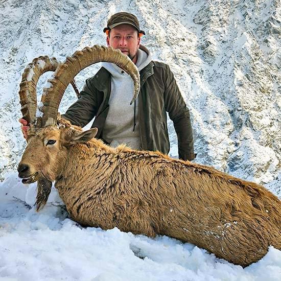 BUKHARAN IBEX AND WILD BOAR HUNTING IN TAJIKISTAN