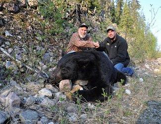 All our bear hunts are spot and stalk style, which proves to be the most exciting every time!