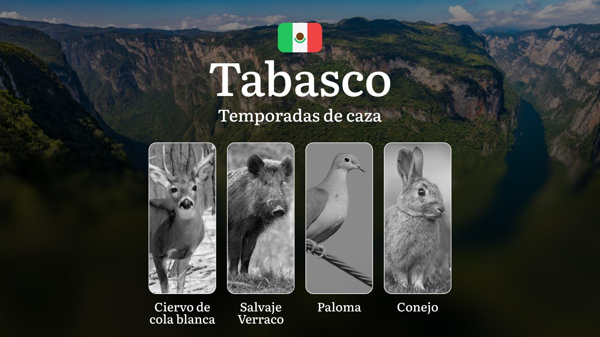 Temporadas y períodos de Caza en Tabasco: Normativas, Especies y Épocas para la Práctica Cinegética en la Región
