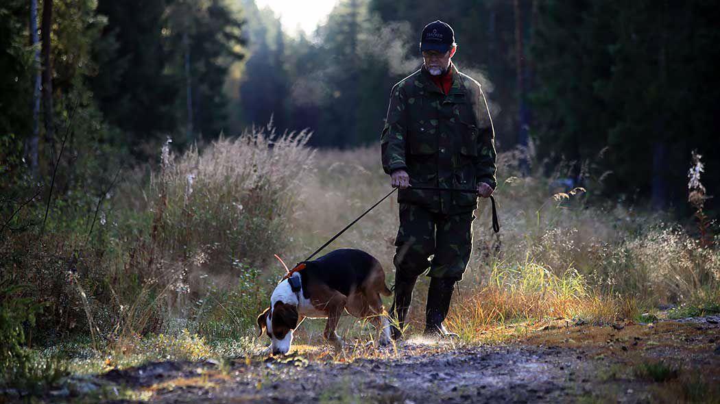 Hunting in Finland