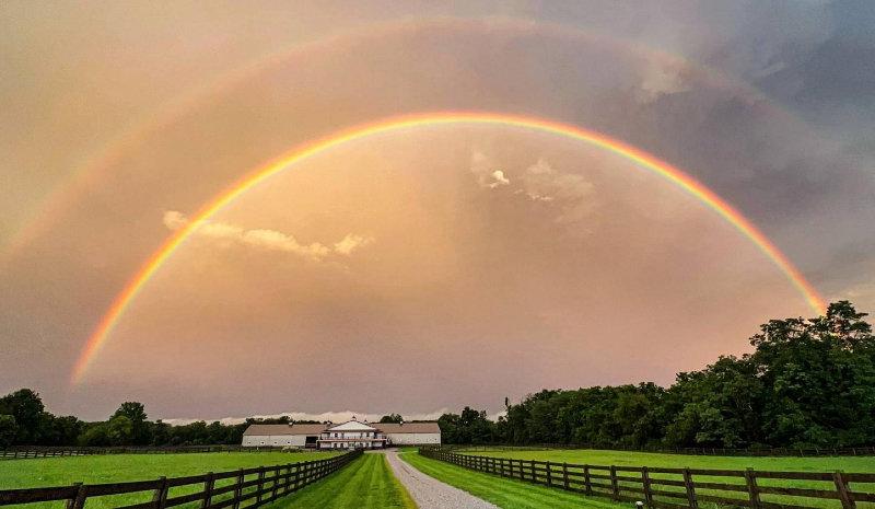 BEAUTIFUL ESTATE AND HORSE FARM ON 29+ ACRES | Stunning custom-built Granville home on 29 acres with horse farm.