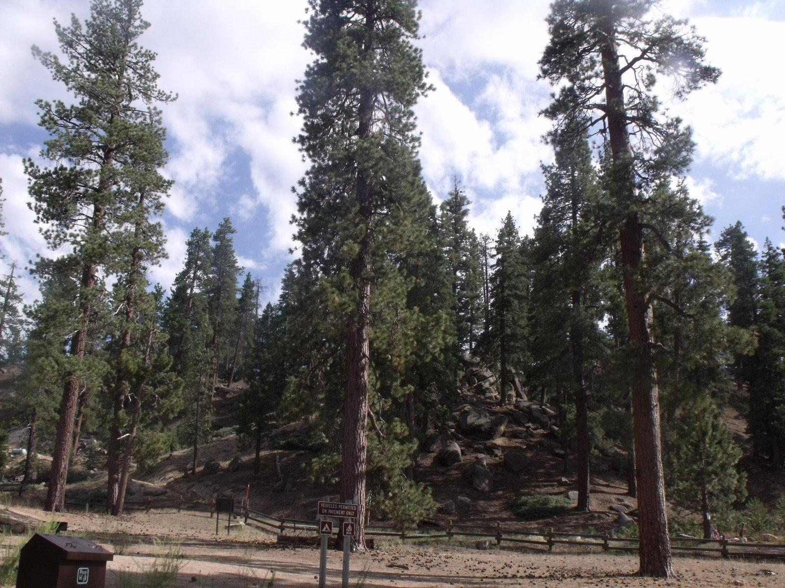 Last weekend, I embarked on an unforgettable hunting trip in the heart of California’s wilderness.