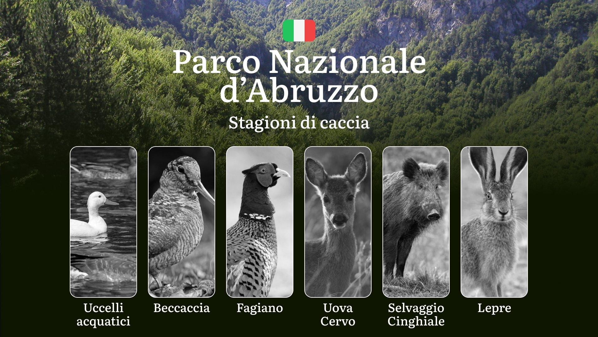 Caccia nel Parco Nazionale d'Abruzzo: Calendario, Normative e Strategie per una Pratica Consapevole