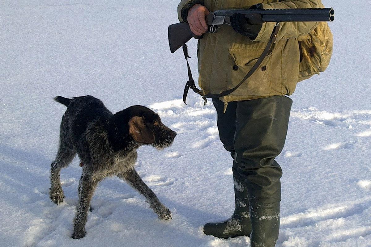УП «Белгосохота» увеличило объем выручки в два раза за последние пять лет