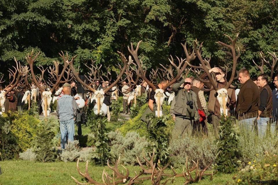 Trophy presentation at the governmental forest company in Somogy county , Hungary .