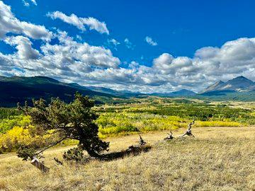 Beautiful country to hunt mountain grouse.