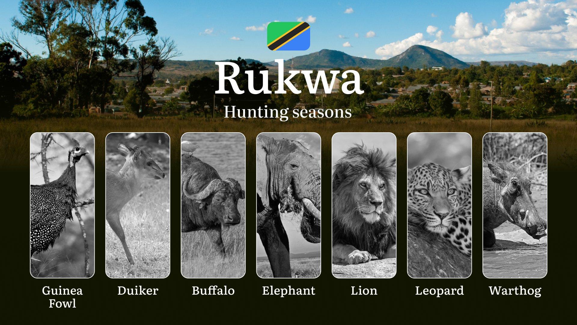 Official Hunting Timeline in Rukwa: Legal Limits and Seasonal Bans, Licensing Rules, Fines and Consequences for Breaches, Strategic Planning, Best Timing, Equipment Choices