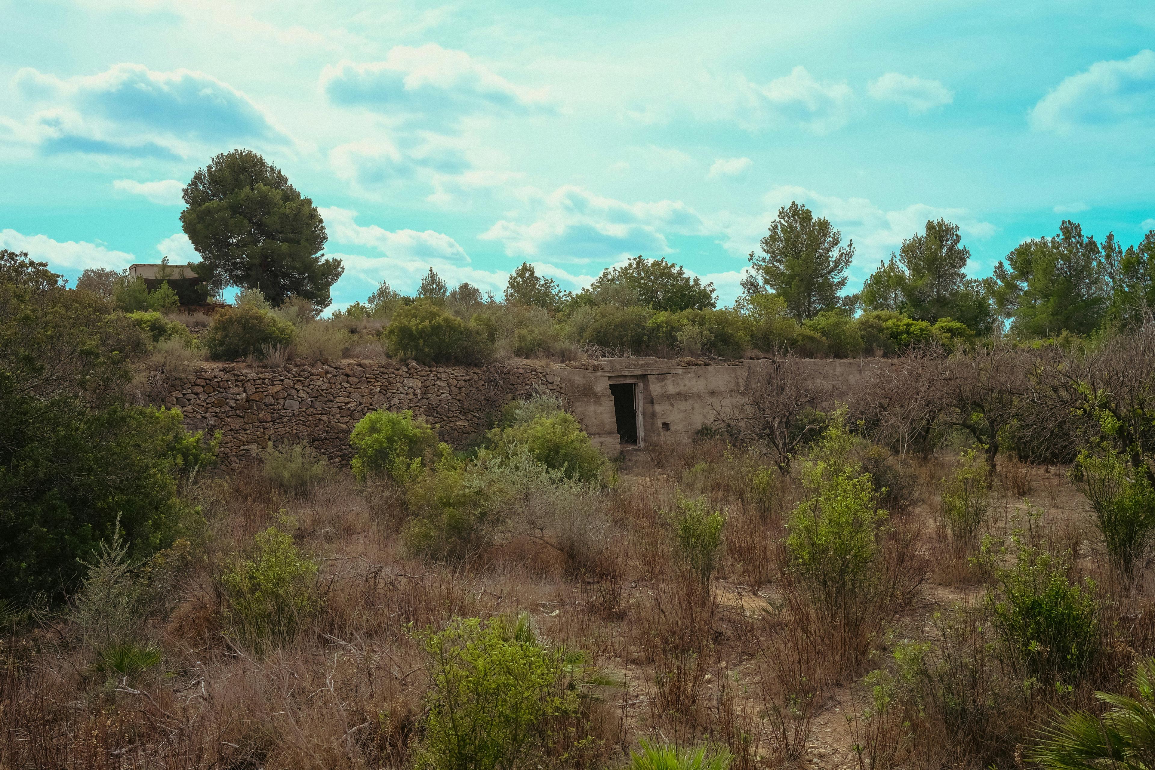 Caza en Ourense: Tradición Cinegética Gallega con Caza Mayor y Menor en una de las Provincias Más Montañosas y Verdes