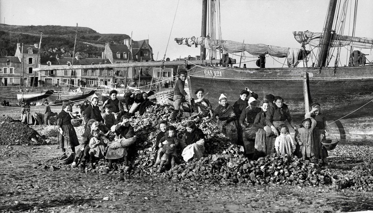 Oyster hunting and sorting in 19th-century France was an essential maritime and culinary practice that reflected both the country’s deep gastronomic traditions and the evolving dynamics of coastal economies.