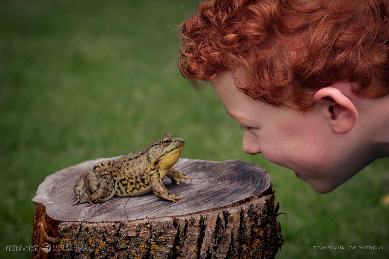 Winners of the 2024 Reflections of Nature Photo Contest.