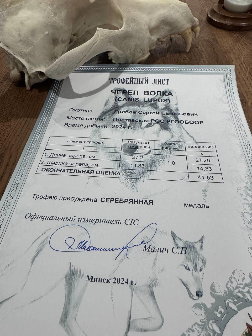 🐺🔝Сергея Грибова можно поздравить с достойным результатом!