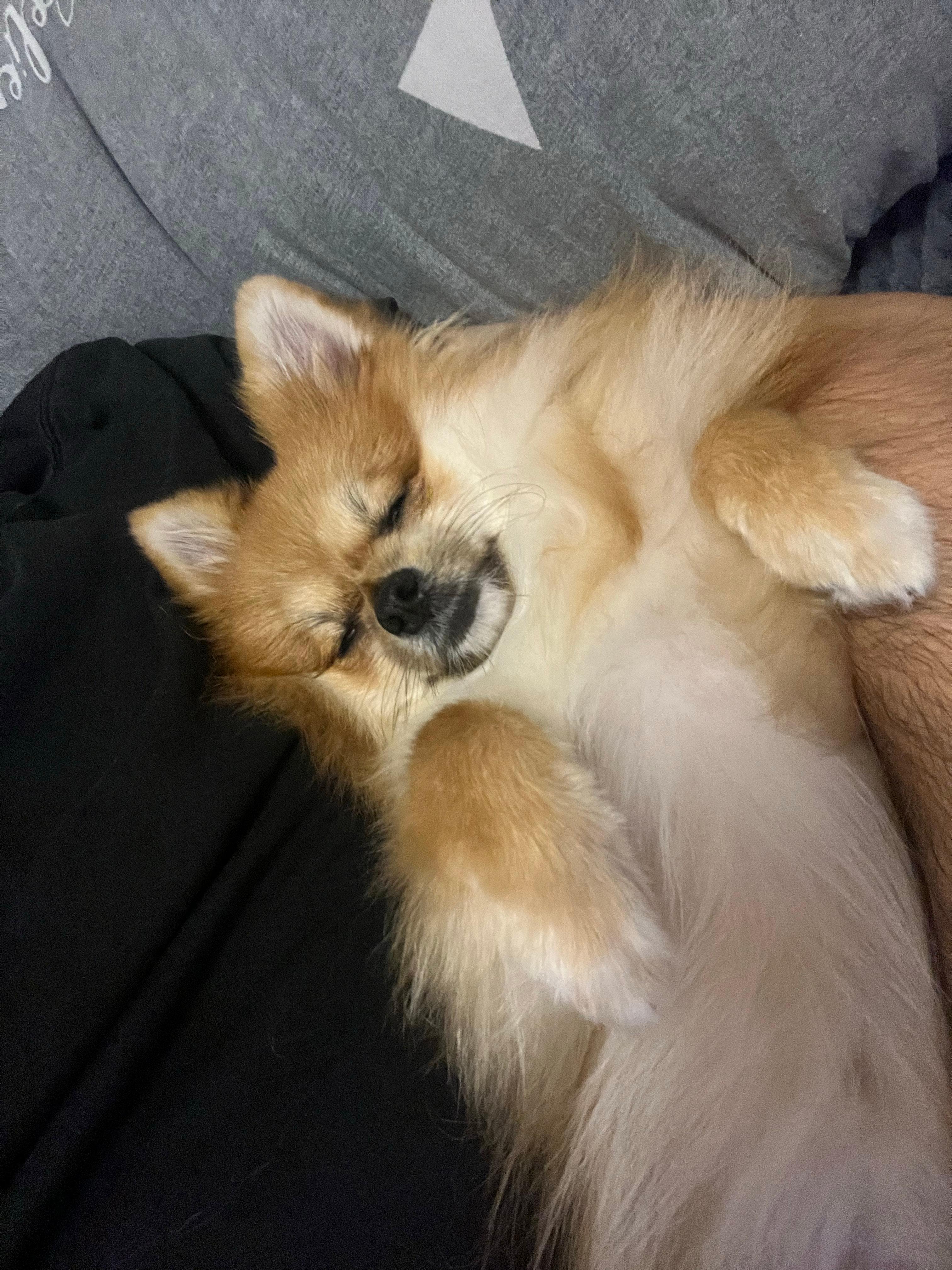😴😴😴
