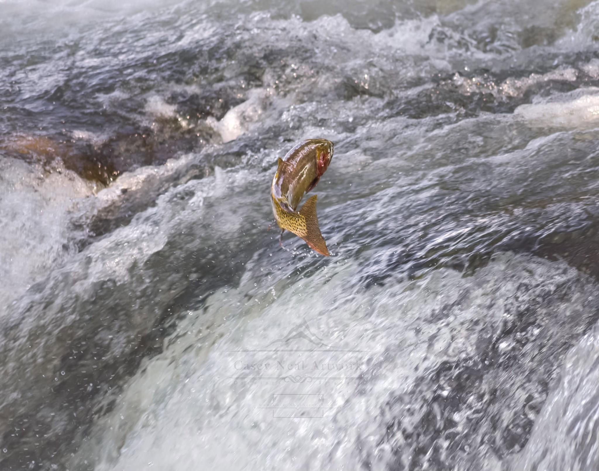 Yellowstone's Birthday,