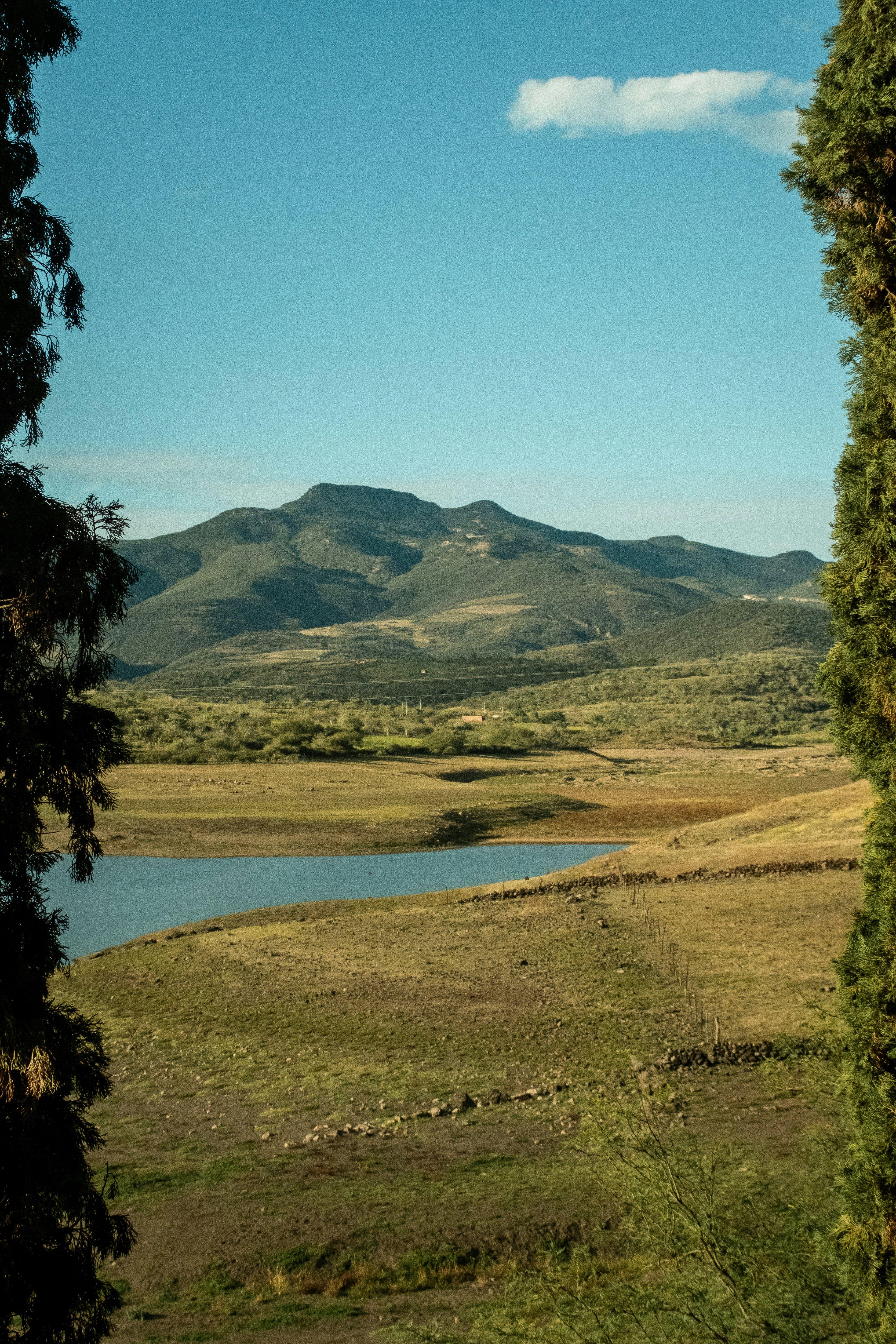 Caza en la región de la Cordillera de la Costa: varios formatos de caza, el calendario del cazador, hechos sorprendentes