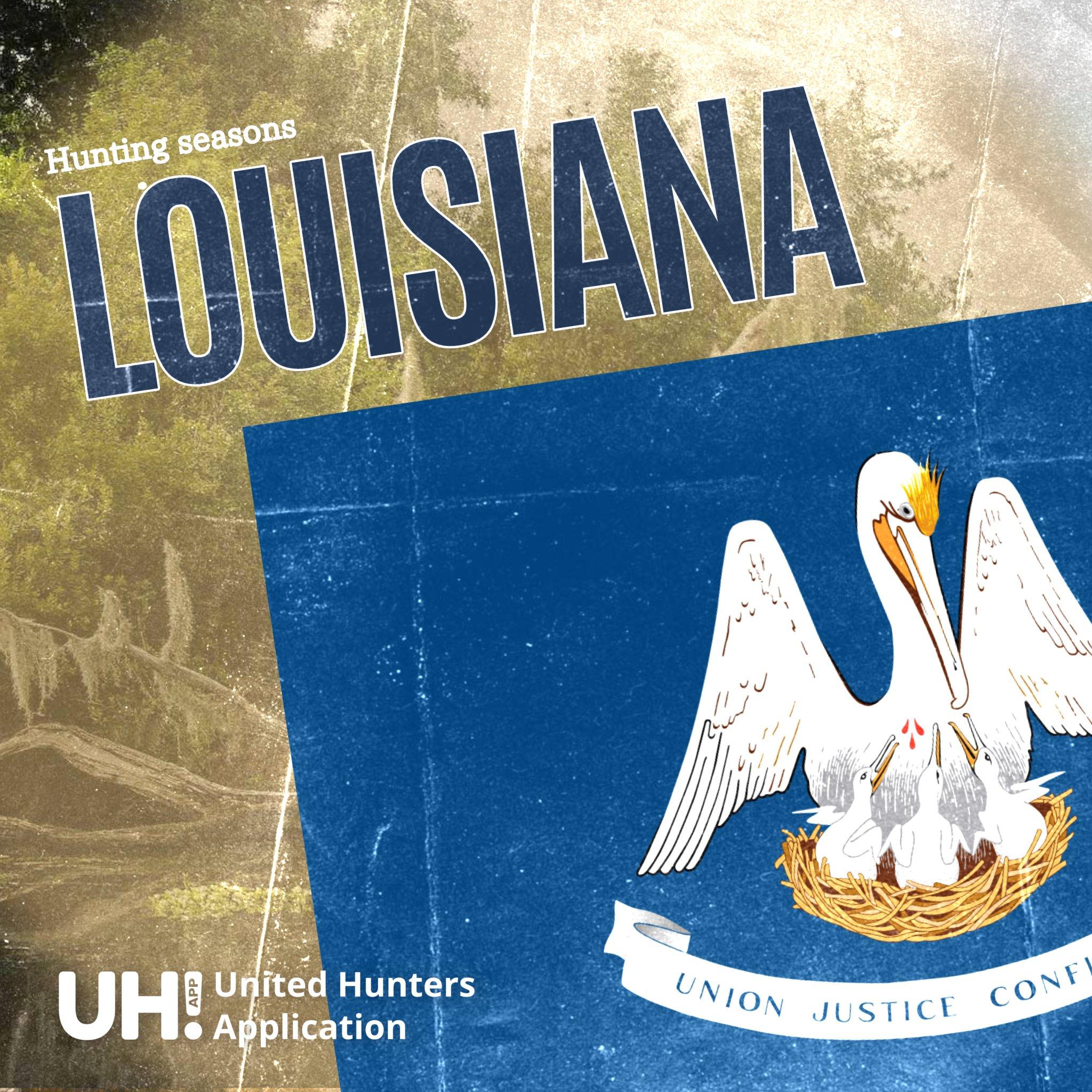 Hunting Seasons in Louisiana 2025–26: Big Game and Small Game, Licenses, and Regulations Guide