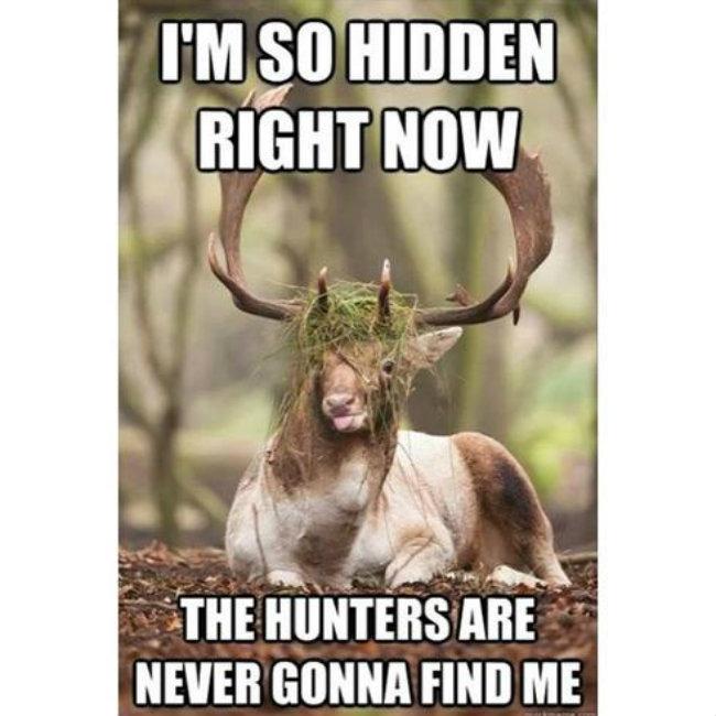 Meme time!