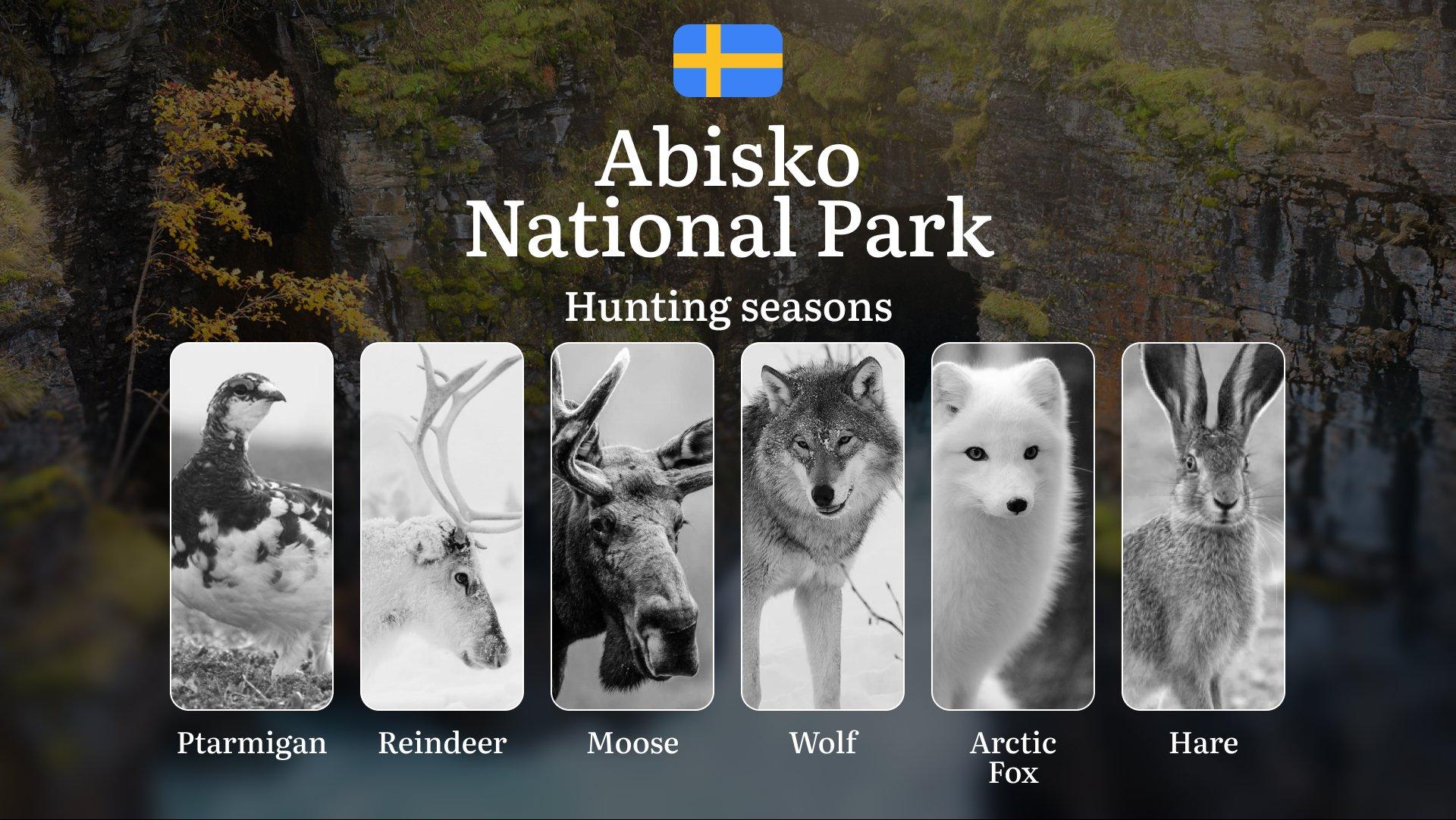 Hunting Periods and Permits in ABISKO NATIONAL PARK: A Detailed Look at Game Movement Throughout the Year, Seasonal Limits, and How to Apply for a Hunting License in the Area