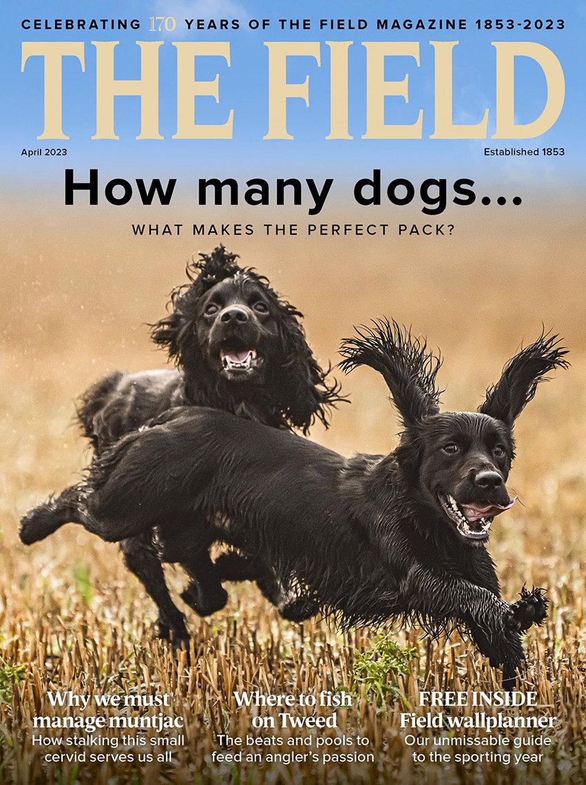 The Field Magazine
