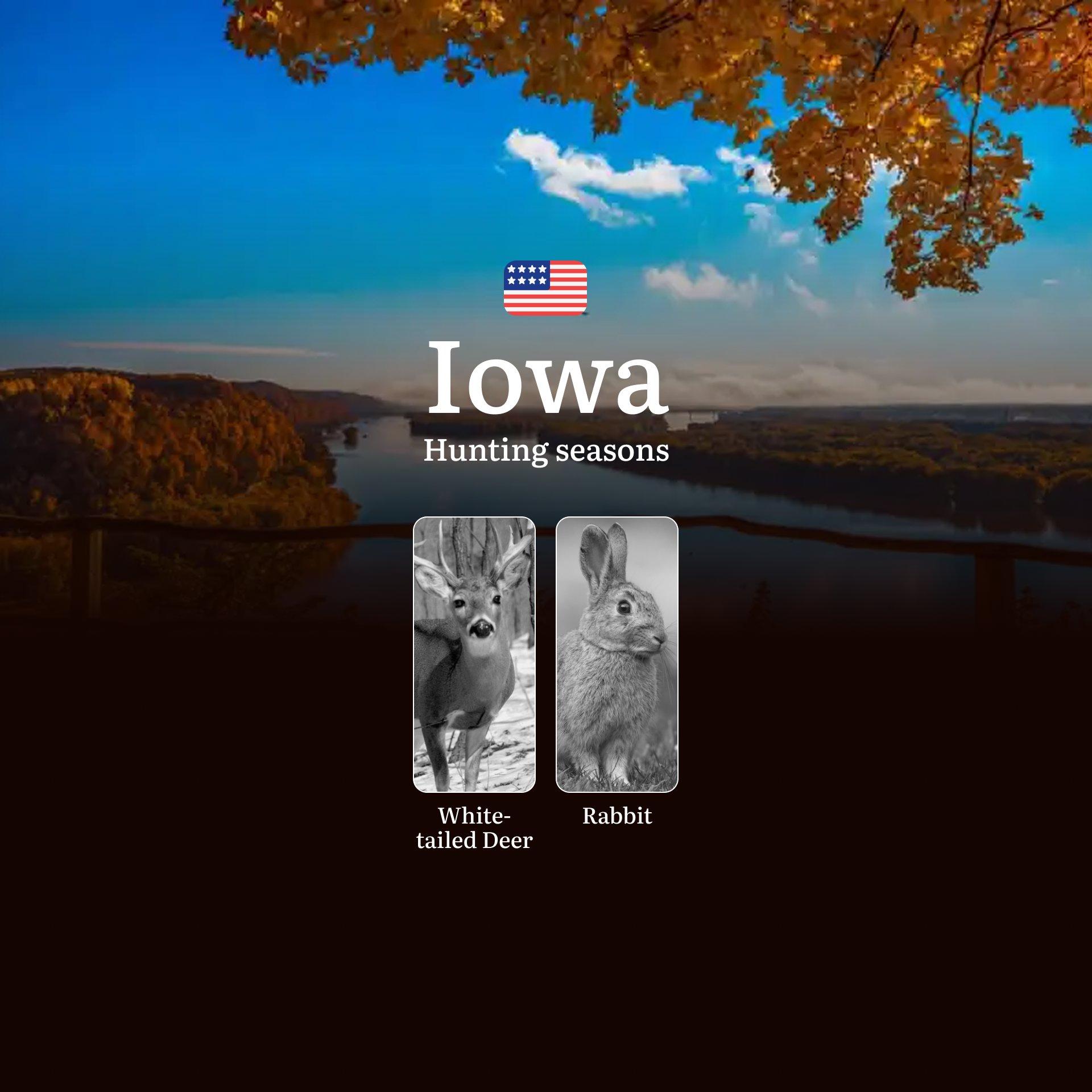 Hunting Seasons in Iowa: Seasonal Breakdown, Hunting Restrictions, Penalties for Violating Hunting and Proven Tips
