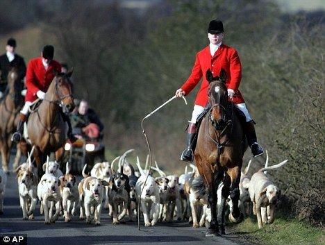Fox Hunting in Britain