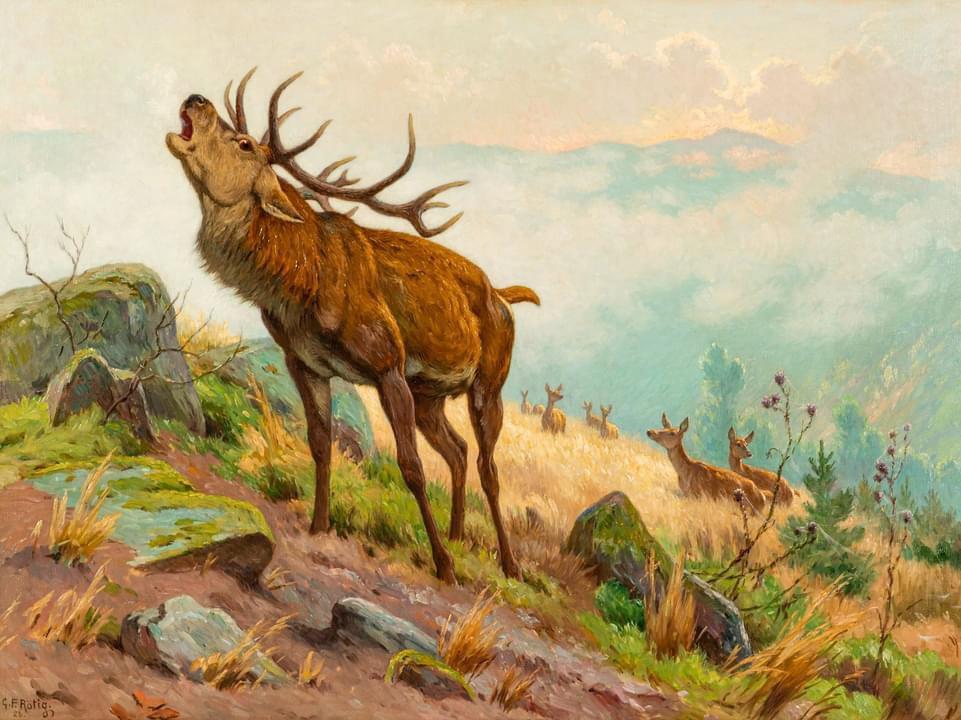 Wildlife art by Georges Frederic Rotig  (1873-1961)