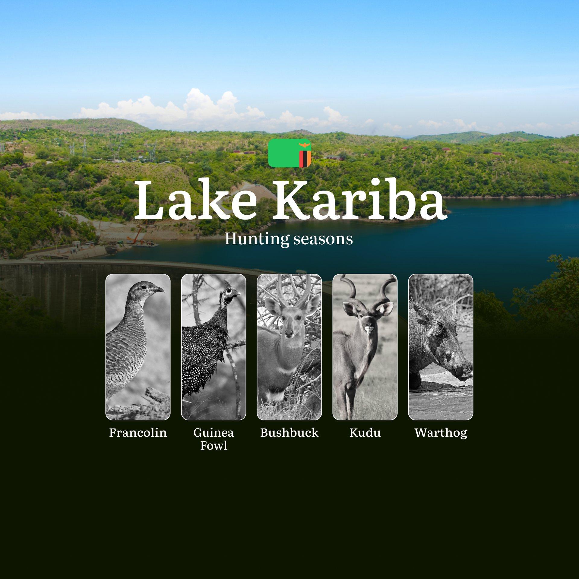 Chasing the Seasons: A Hunter’s Calendar to Hunting Dates and Regulations Around Lake Kariba, Zambia